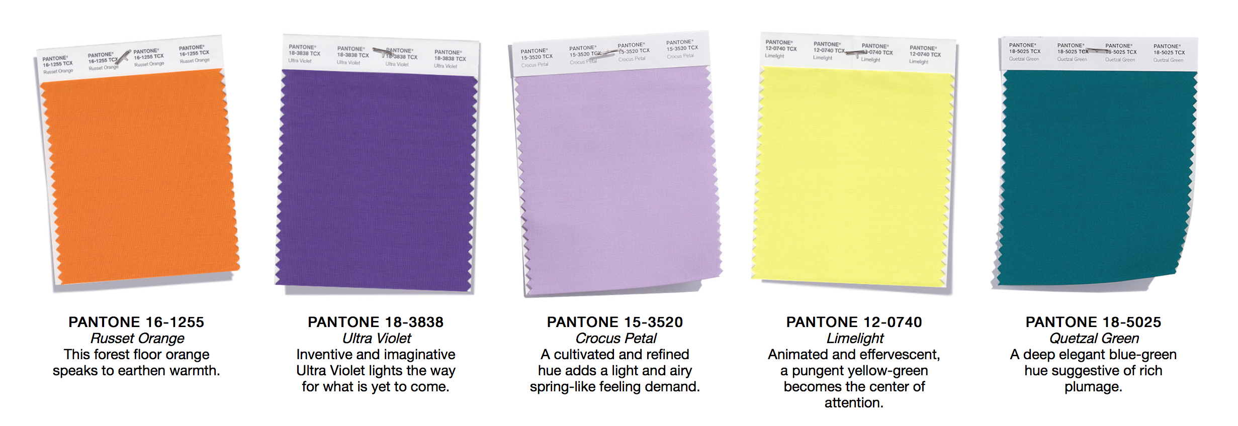 Frank Murphy Fall Winter 18 Color Trends